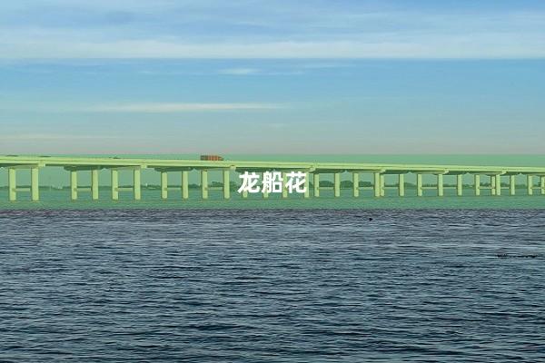 龙船花