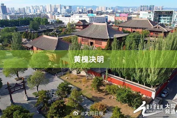 黄槐决明
