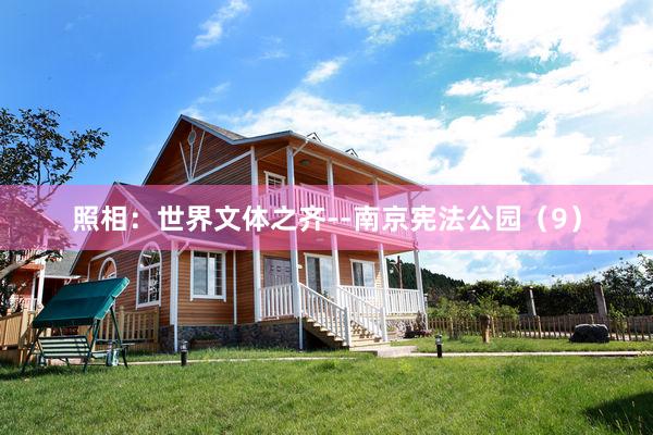 照相：世界文体之齐--南京宪法公园（9）