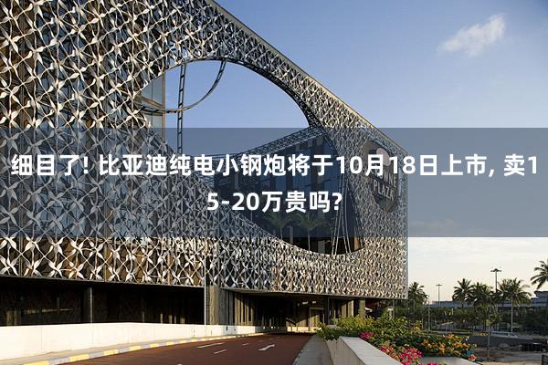 细目了! 比亚迪纯电小钢炮将于10月18日上市, 卖15-20万贵吗?
