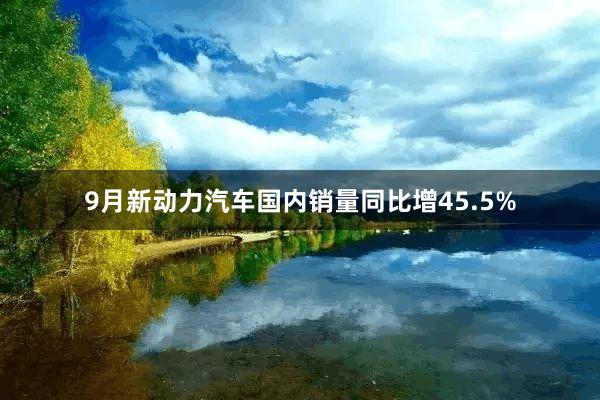9月新动力汽车国内销量同比增45.5%