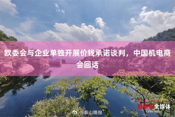 欧委会与企业单独开展价钱承诺谈判，中国机电商会回话