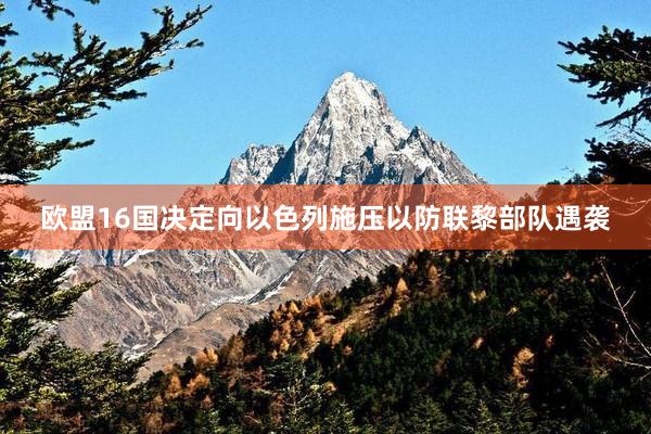 欧盟16国决定向以色列施压以防联黎部队遇袭