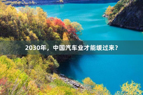 2030年，中国汽车业才能缓过来？