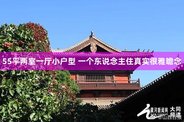 55平两室一厅小户型 一个东说念主住真实很雅瞻念