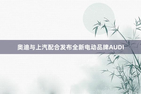 奥迪与上汽配合发布全新电动品牌AUDI