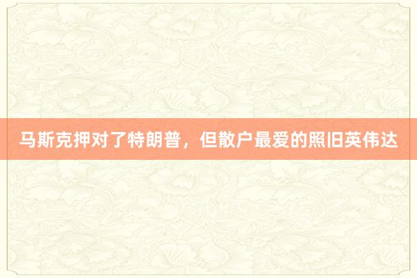 马斯克押对了特朗普，但散户最爱的照旧英伟达