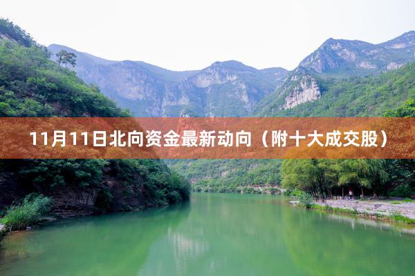 11月11日北向资金最新动向（附十大成交股）