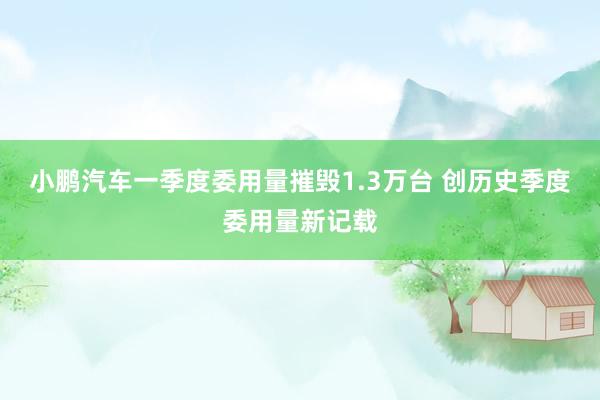 小鹏汽车一季度委用量摧毁1.3万台 创历史季度委用量新记载