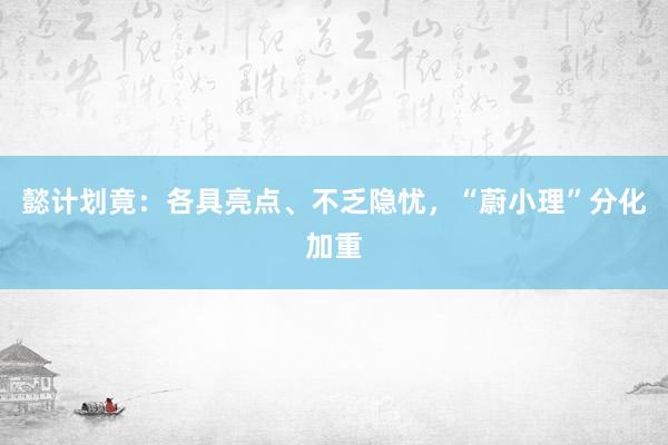 懿计划竟：各具亮点、不乏隐忧，“蔚小理”分化加重