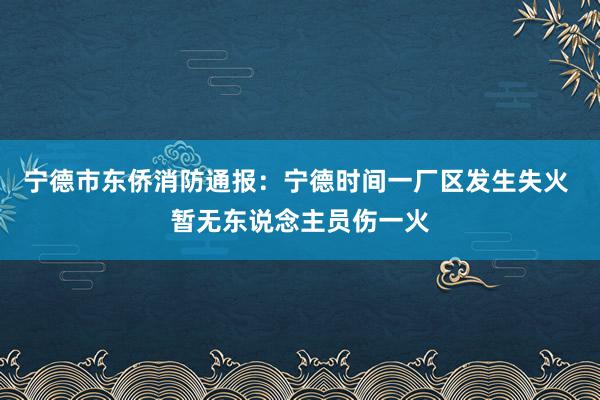 宁德市东侨消防通报：宁德时间一厂区发生失火 暂无东说念主员伤一火