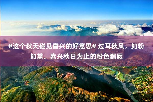 #这个秋天碰见嘉兴的好意思# 过耳秋风，如粉如黛。嘉兴秋日为止的粉色猖厥