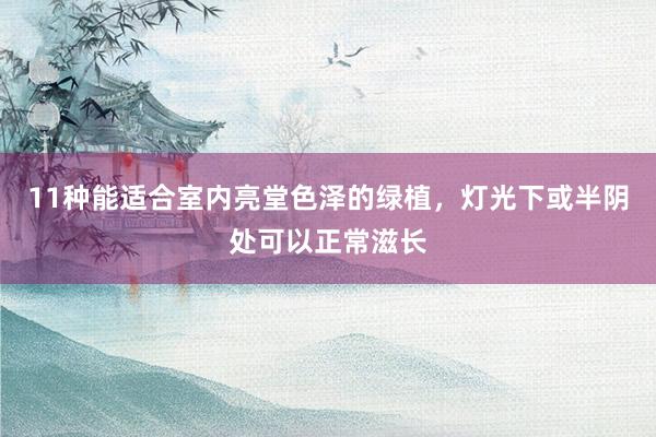 11种能适合室内亮堂色泽的绿植，灯光下或半阴处可以正常滋长