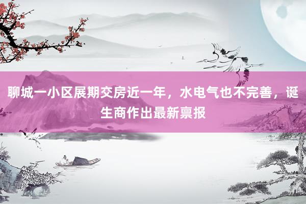 聊城一小区展期交房近一年，水电气也不完善，诞生商作出最新禀报